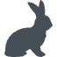 Tierversuche/ Tierschutz Icon